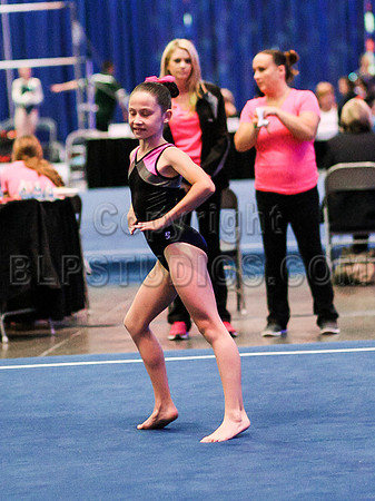 HSM_2656