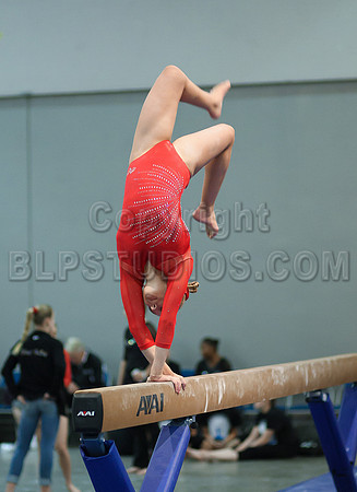 HSM_4381