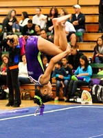 HSM_0784
