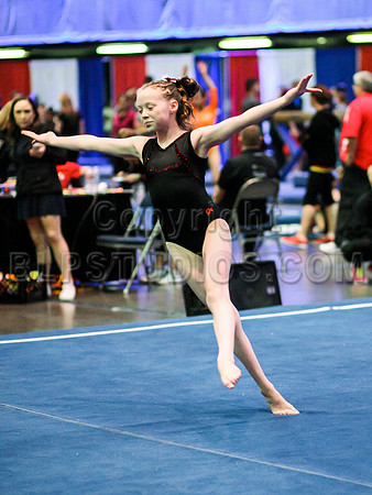 HSM_0534