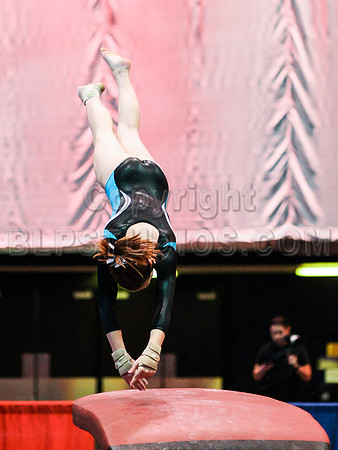 HSM_7919