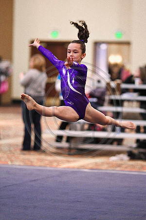 TAZ20178