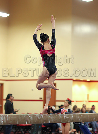 HSM_3629