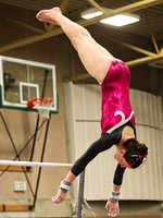 HSM_2244