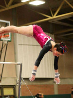 HSM_2245
