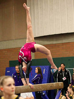 HSM_2337