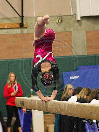 HSM_4197