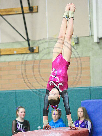 TAZ12671
