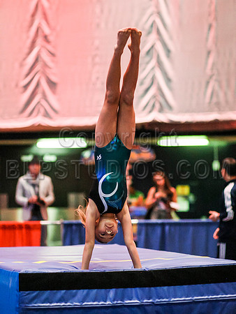 HSM_5501