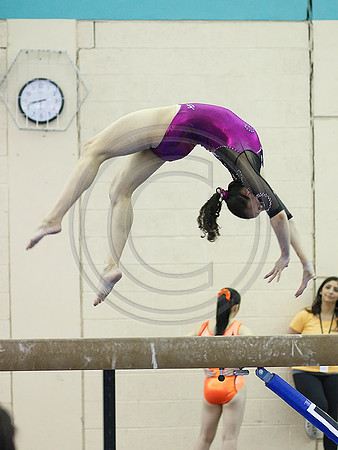 HSM_6025