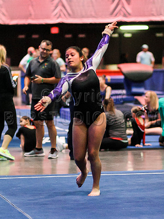 HSM_0953