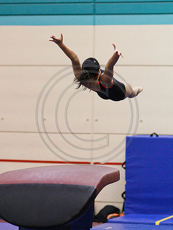 HSM_1695