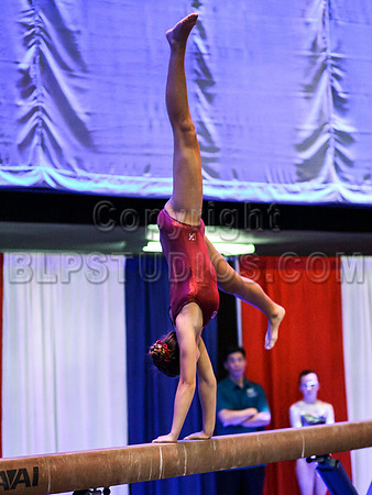 HSM_0340