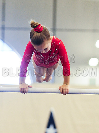BEC_0066