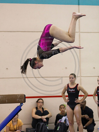 HSM_6031