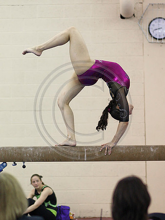 HSM_6019
