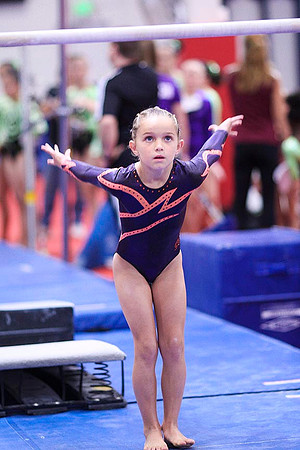 TAZ20155