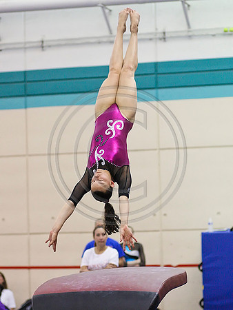 HSM_5080