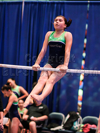HSM_1197