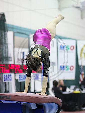 HSM_4930