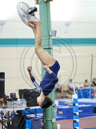 HSM_0024 (1)