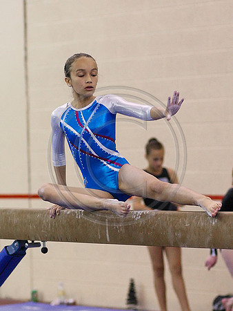 HSM_0949