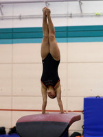 HSM_1691