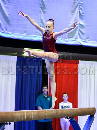 HSM_0401