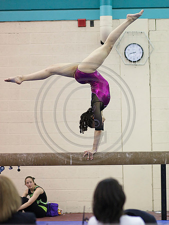HSM_6017