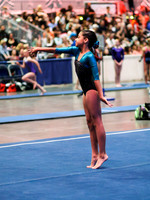 HSM_3382