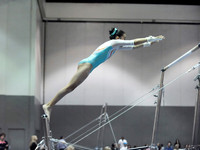 BEC_0061