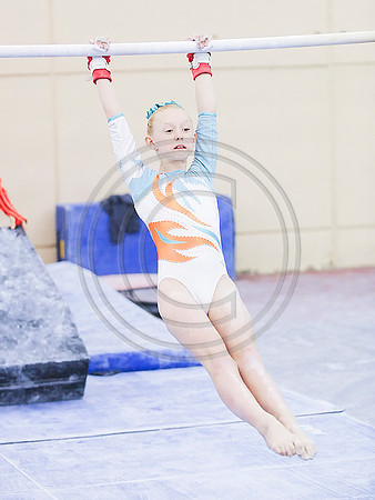 RFJ_5225