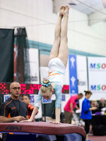 HSM_9025