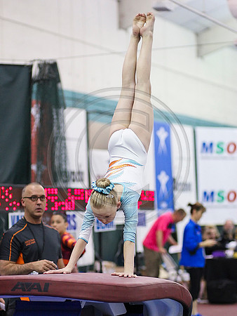 HSM_9025