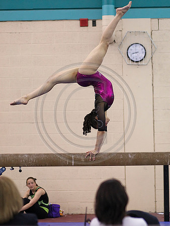 HSM_6018