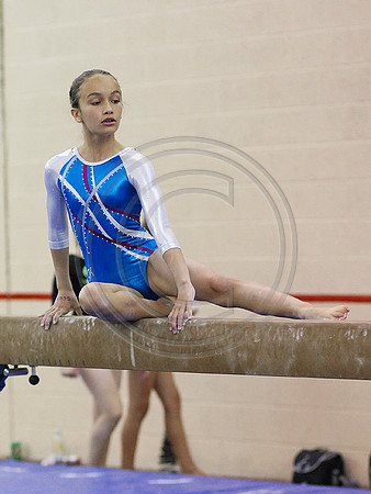 HSM_0942