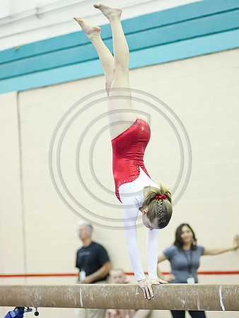 HSM_8580