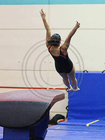 HSM_1696