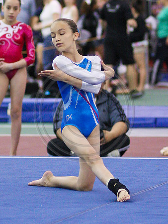 HSM_1517