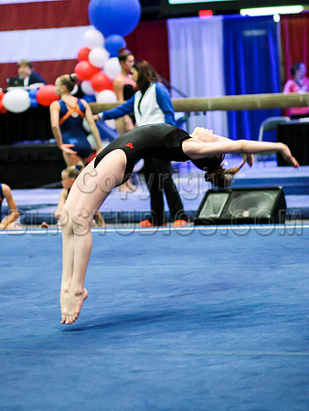 HSM_0558