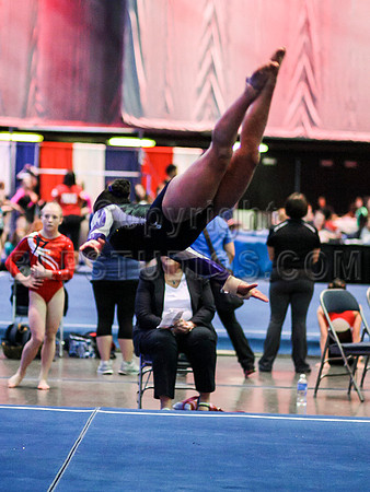 HSM_0973