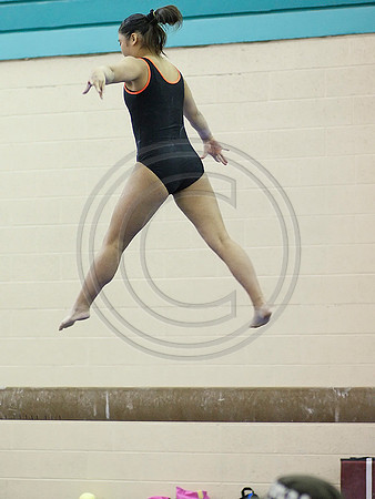 HSM_2196
