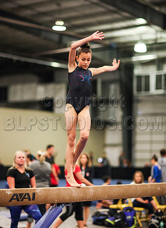 HSM_0978
