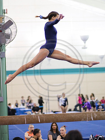 HSM_0005