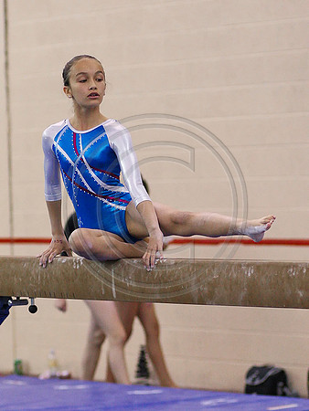HSM_0943