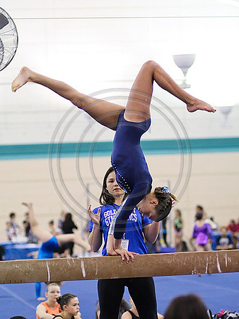 HSM_0001