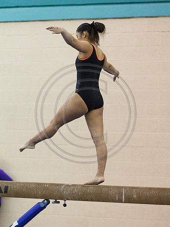 HSM_2198