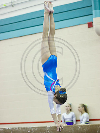 HSM_0974