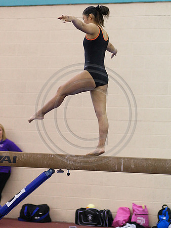 HSM_2197