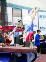 HSM_9024